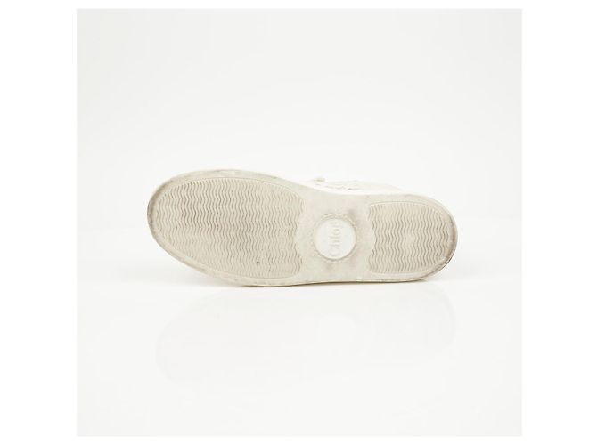 Chloé Sneakers basse in pizzo da donna Mild Beige - vista 13