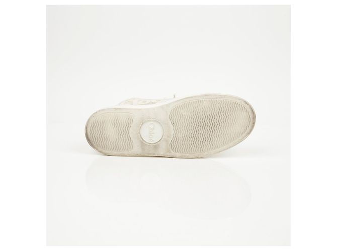 Chloé Sneakers basse in pizzo da donna Mild Beige - vista 14