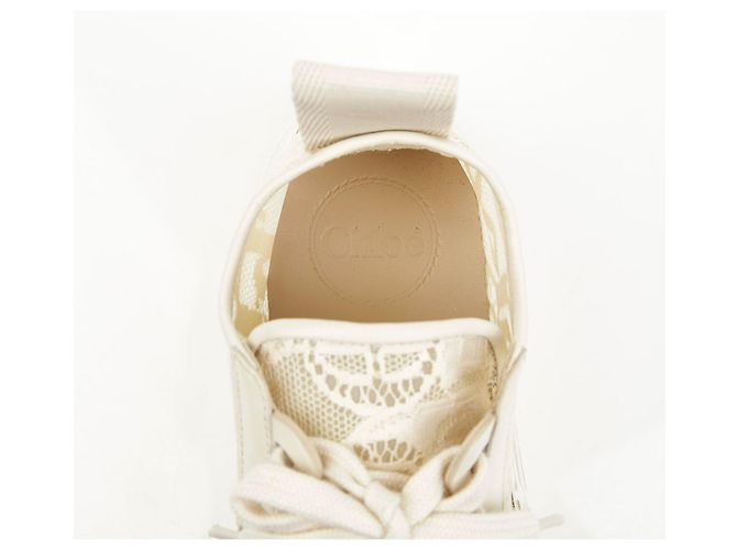 Chloé Sneakers basse in pizzo da donna Mild Beige - vista 15