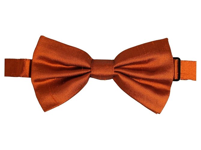 Dolce & Gabbana Papillon regolabile in seta arancione da uomo - vista 4