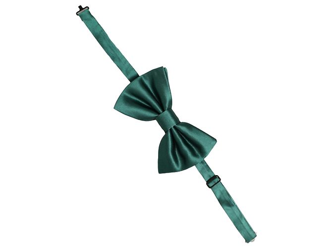 Dolce & Gabbana Papillon regolabile da uomo, Verde, % Silk - vista 2
