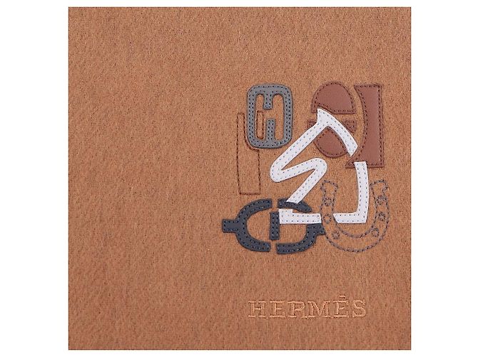 Hermès Écharpe en cachemire réversible - vue 8