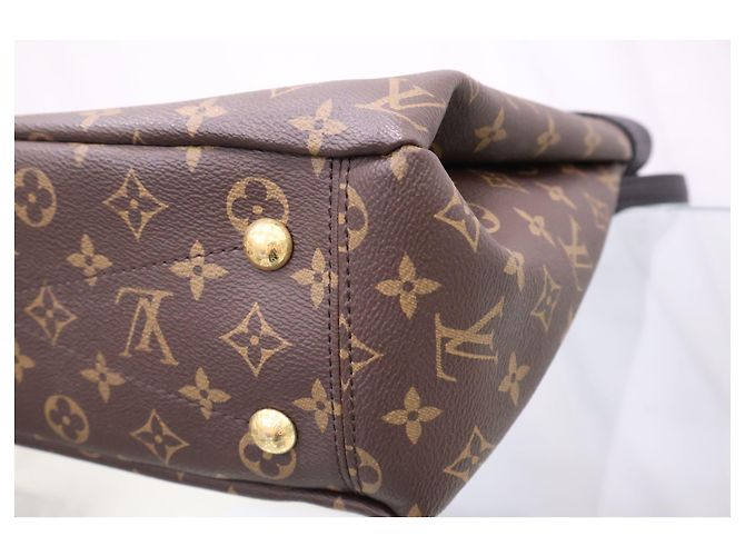 Louis Vuitton Borsa a tracolla Palace Shopper Monogram - vista 6