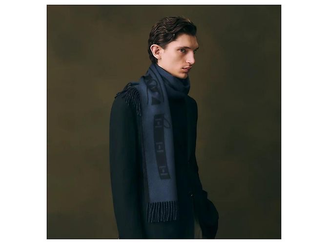 Hermès Sciarpa in Cashmere Colliers de Chiens - vista 3