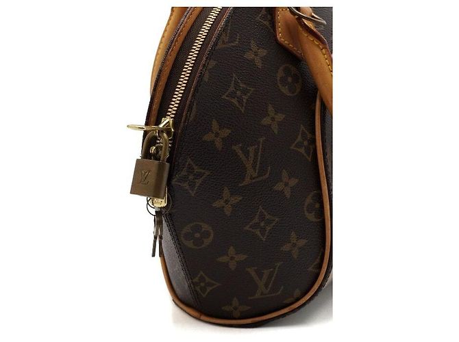 Louis Vuitton Borsa Tote Ellipse PM in canvas Monogram - vista 10