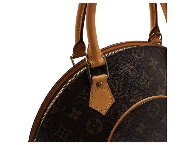 Louis Vuitton Borsa Tote Ellipse PM in canvas Monogram - vista 13