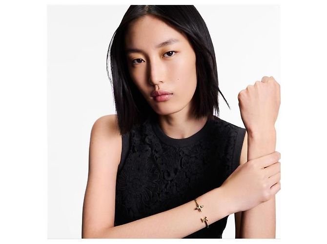 Louis Vuitton Bracciale Lujette Signature Gold - vista 6