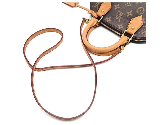 Louis Vuitton Monogram Alma BB Marrone - vista 5