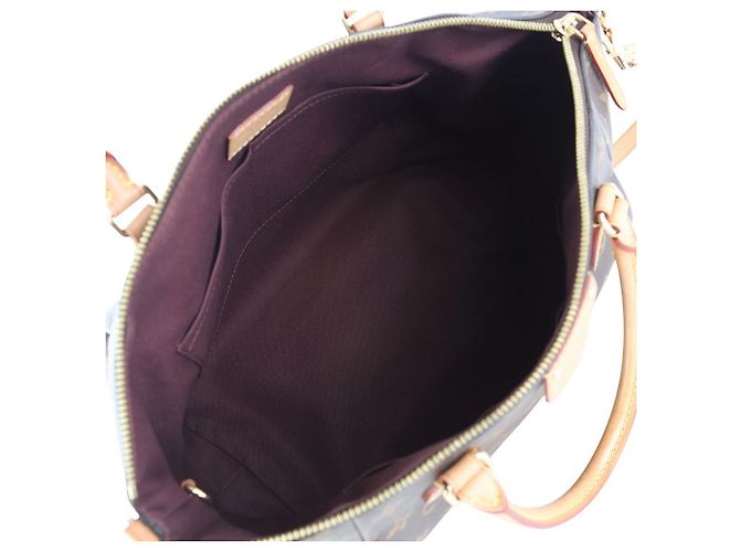 Louis Vuitton Borsa a tracolla Monogram Tuileries MM - vista 7