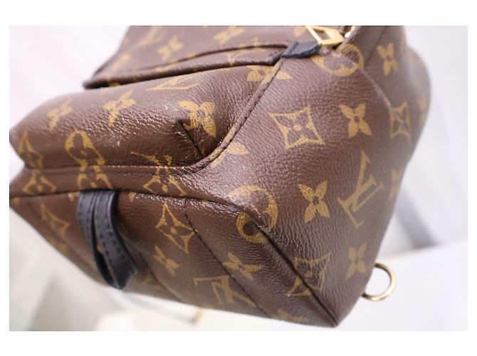 Louis Vuitton Mini zaino Monogram Palm Springs - vista 12