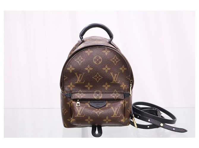 Louis Vuitton Mini zaino Monogram Palm Springs - vista 2