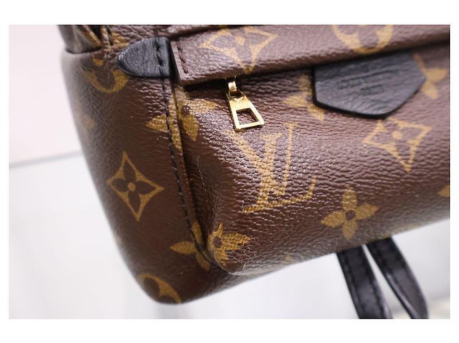 Louis Vuitton Mini zaino Monogram Palm Springs - vista 3