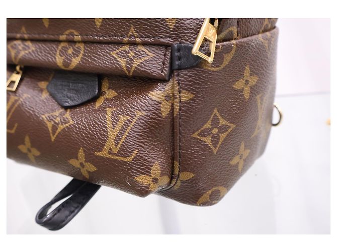 Louis Vuitton Mini zaino Monogram Palm Springs - vista 4