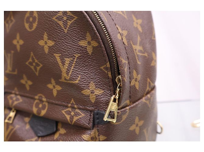 Louis Vuitton Mini zaino Monogram Palm Springs - vista 5