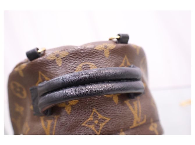 Louis Vuitton Mini zaino Monogram Palm Springs - vista 6