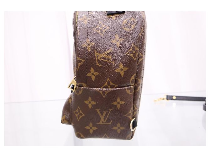 Louis Vuitton Mini zaino Monogram Palm Springs - vista 9