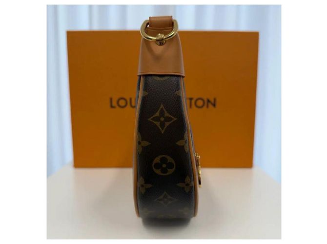 Louis Vuitton Borsa Hobo Monogram Loop - vista 4
