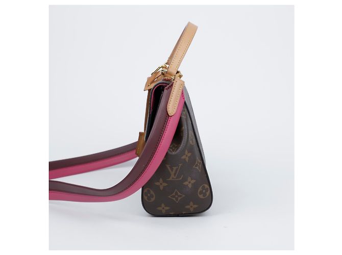 Louis Vuitton Borsa Tote Cluny BB Monogram Canvas - vista 4