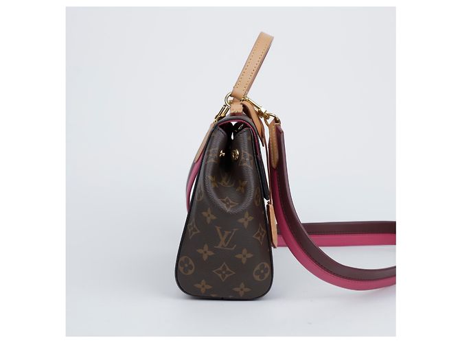 Louis Vuitton Borsa Tote Cluny BB Monogram Canvas - vista 5