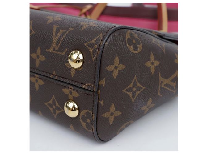 Louis Vuitton Borsa Tote Cluny BB Monogram Canvas - vista 9