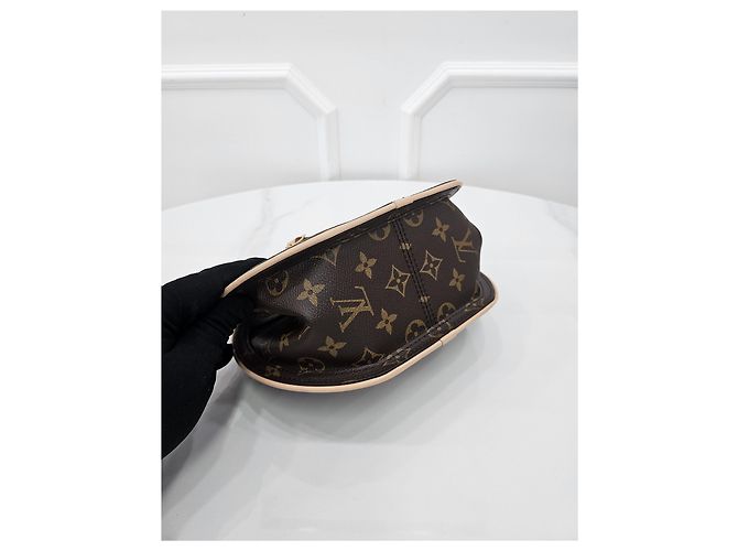 Louis Vuitton Monogram Around Me PM - vista 4