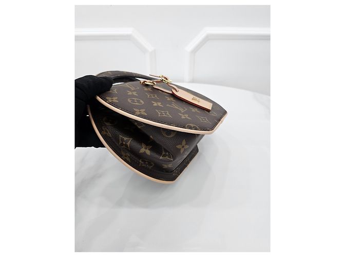 Louis Vuitton Monogram Around Me PM - vista 5