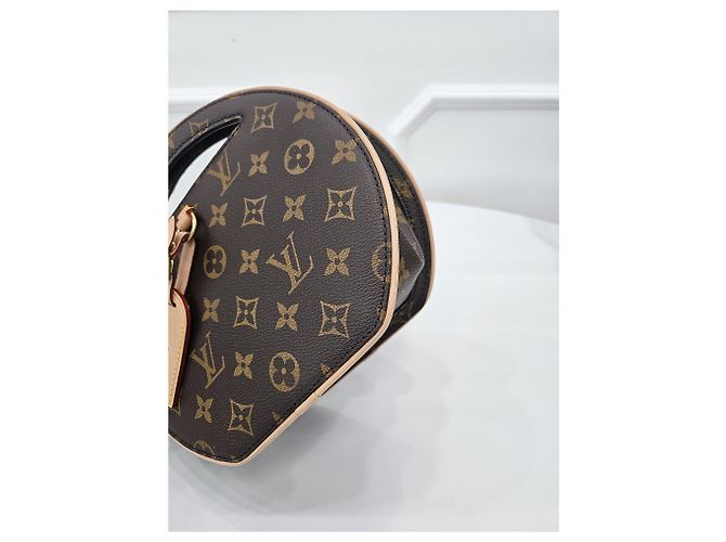 Louis Vuitton Monogram Around Me PM - vista 6