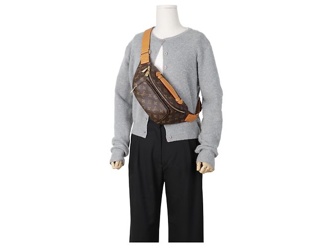 Louis Vuitton Borsa Cintura Monogram - vista 14