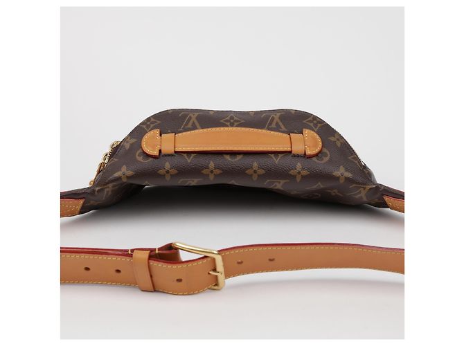 Louis Vuitton Borsa Cintura Monogram - vista 5