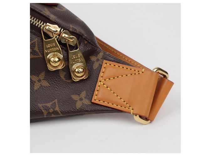 Louis Vuitton Borsa Cintura Monogram - vista 9