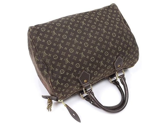 Louis Vuitton Monogram Mini Lin Canvas Speedy Tote Bag - Ansicht 3