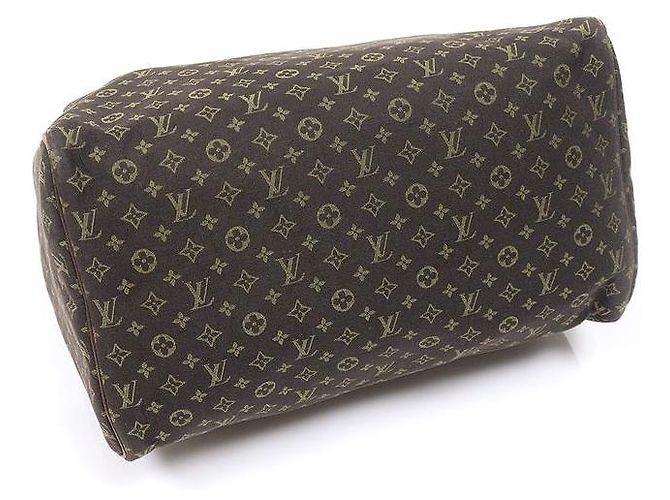 Louis Vuitton Monogram Mini Lin Canvas Speedy Tote Bag - Ansicht 4