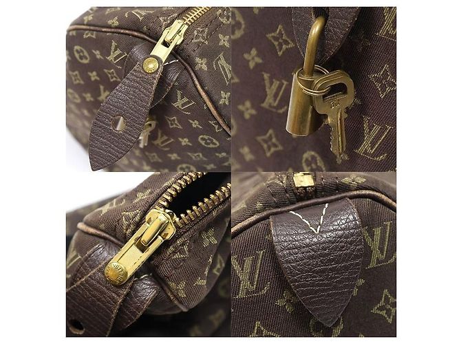 Louis Vuitton Monogram Mini Lin Canvas Speedy Tote Bag - Ansicht 7