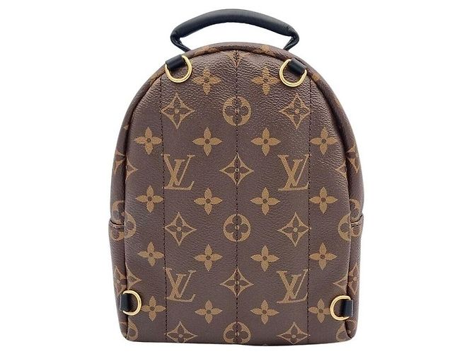 Louis Vuitton Mini zaino Palm Springs - vista 2