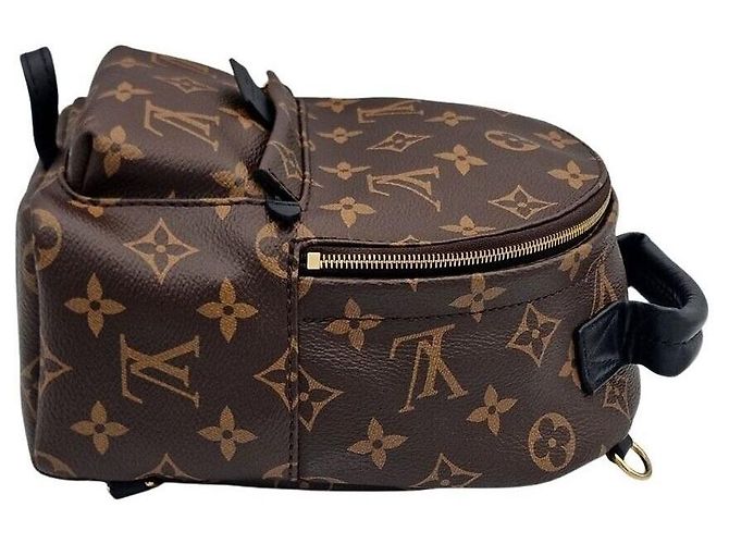 Louis Vuitton Mini zaino Palm Springs - vista 4