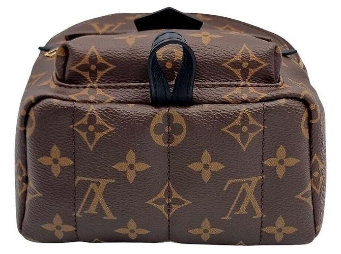 Louis Vuitton Mini zaino Palm Springs - vista 5