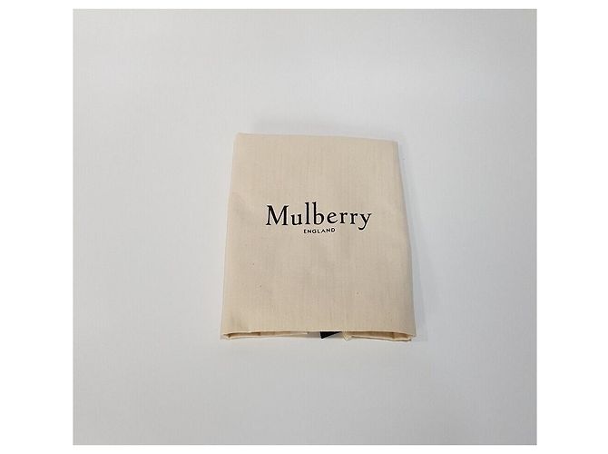 Mulberry Borsa a Spalla Alexa Medium Tote - vista 10