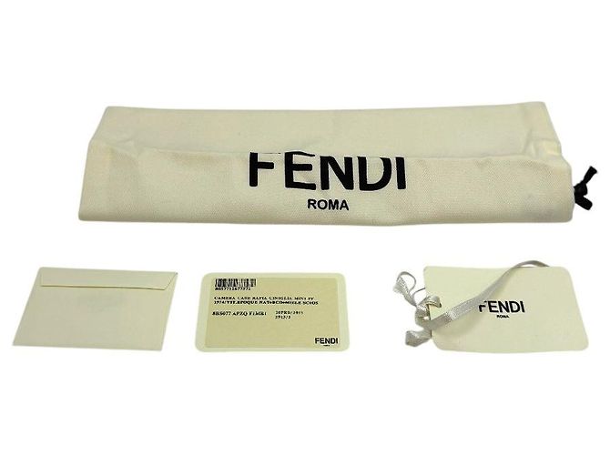 Fendi Borsa a tracolla Camera Case Raffia Singilia Mini - vista 8