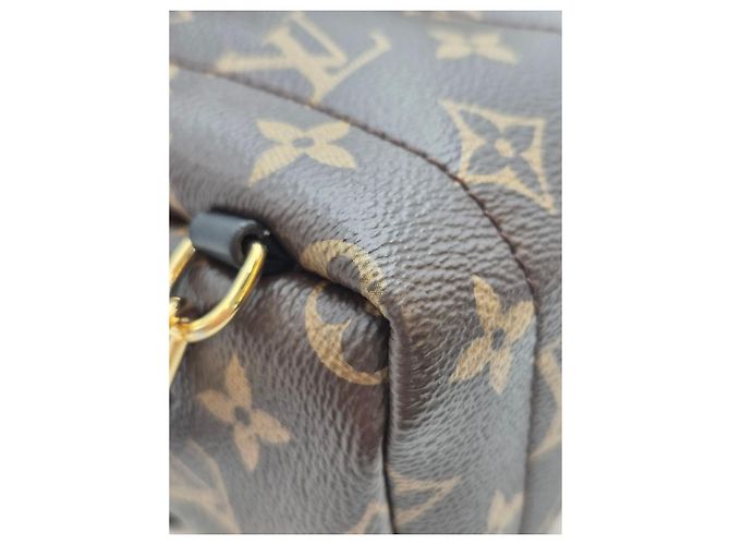 Louis Vuitton Palm Springs Mini Backpack Year Condition - view 13