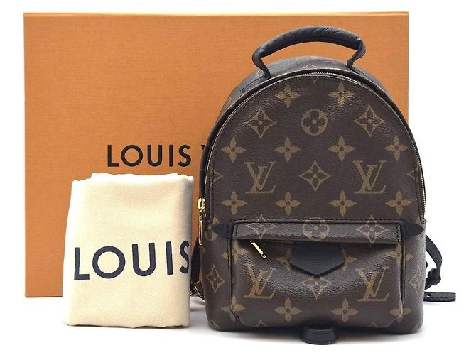 Louis Vuitton Palm Springs Mini Backpack Year Condition - view 2