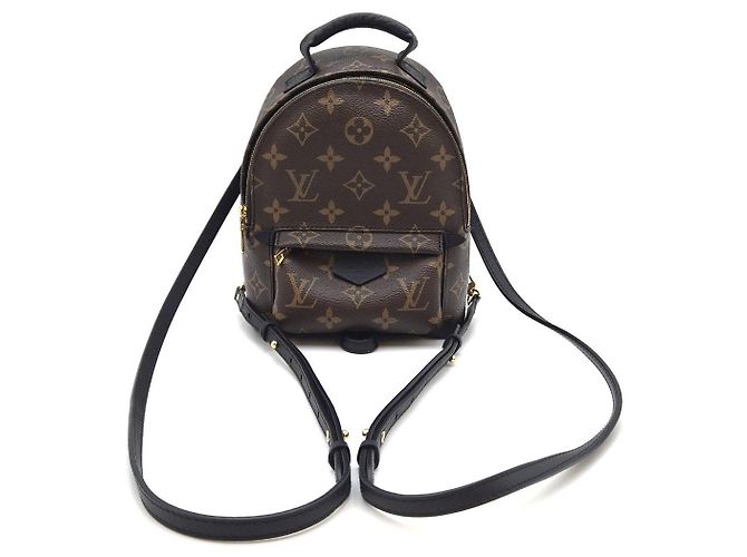 Louis Vuitton Palm Springs Mini Backpack Year Condition - view 3