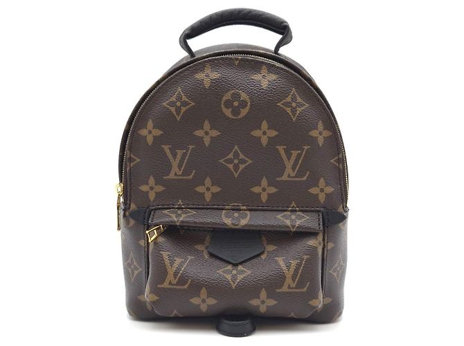 Louis Vuitton Palm Springs Mini Backpack Year Condition - view 4