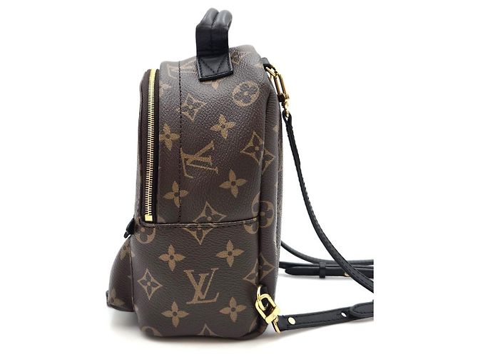 Louis Vuitton Palm Springs Mini Backpack Year Condition - view 9