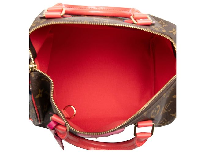 Borsa Boston Louis Vuitton Monogram Totem Speedy 30 Marrone - vista 4