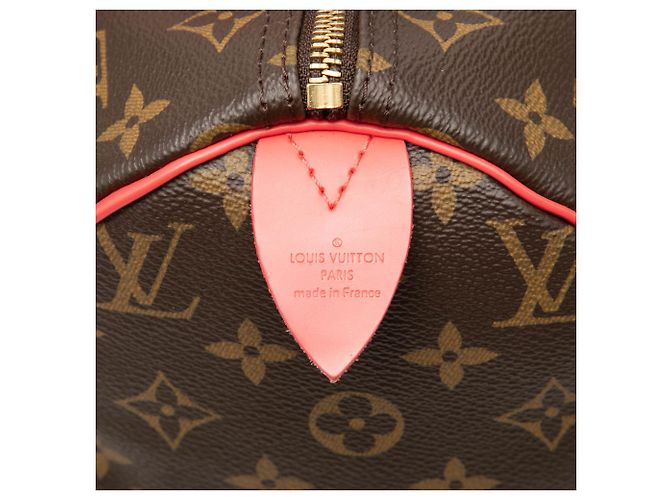 Borsa Boston Louis Vuitton Monogram Totem Speedy 30 Marrone - vista 5