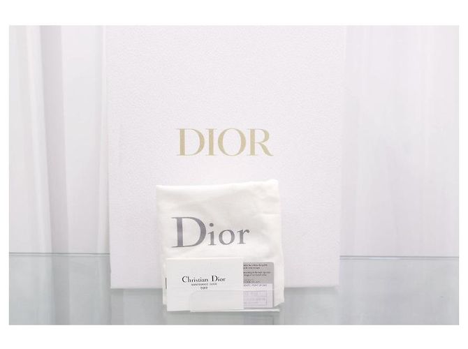 Dior Borsa Tote Media in Vernice - vista 15