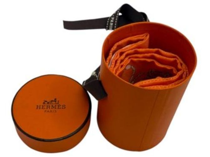 Hermès Mini Twilly aus Seide Orange - Ansicht 6