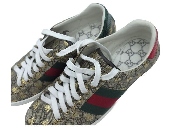 Gucci Sneakers Ace Beige Brown - vista 15