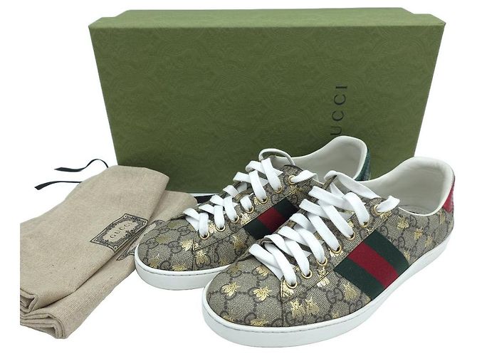 Gucci Sneakers Ace Beige Brown - vista 9