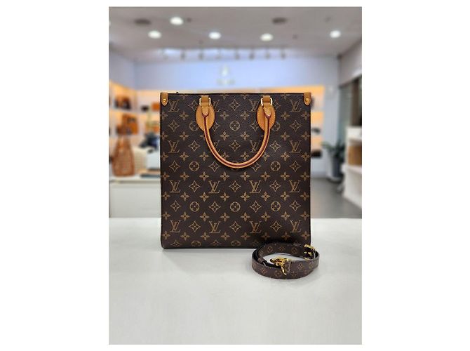 Louis Vuitton Borsa a tracolla Monogram Sac Plat PM - vista 2